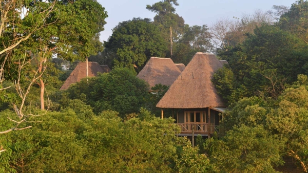 Bugoma Jungle Lodge